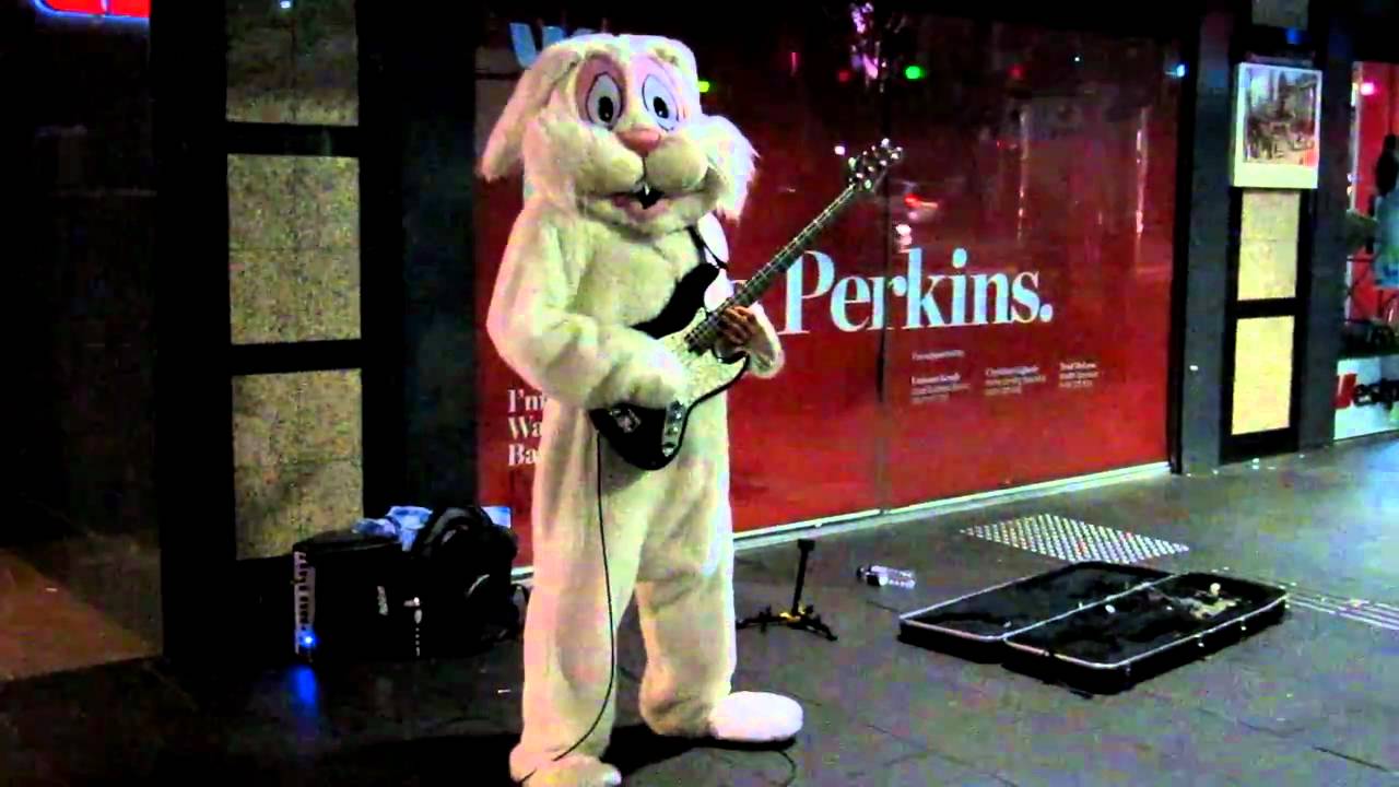 Bunny Busker
