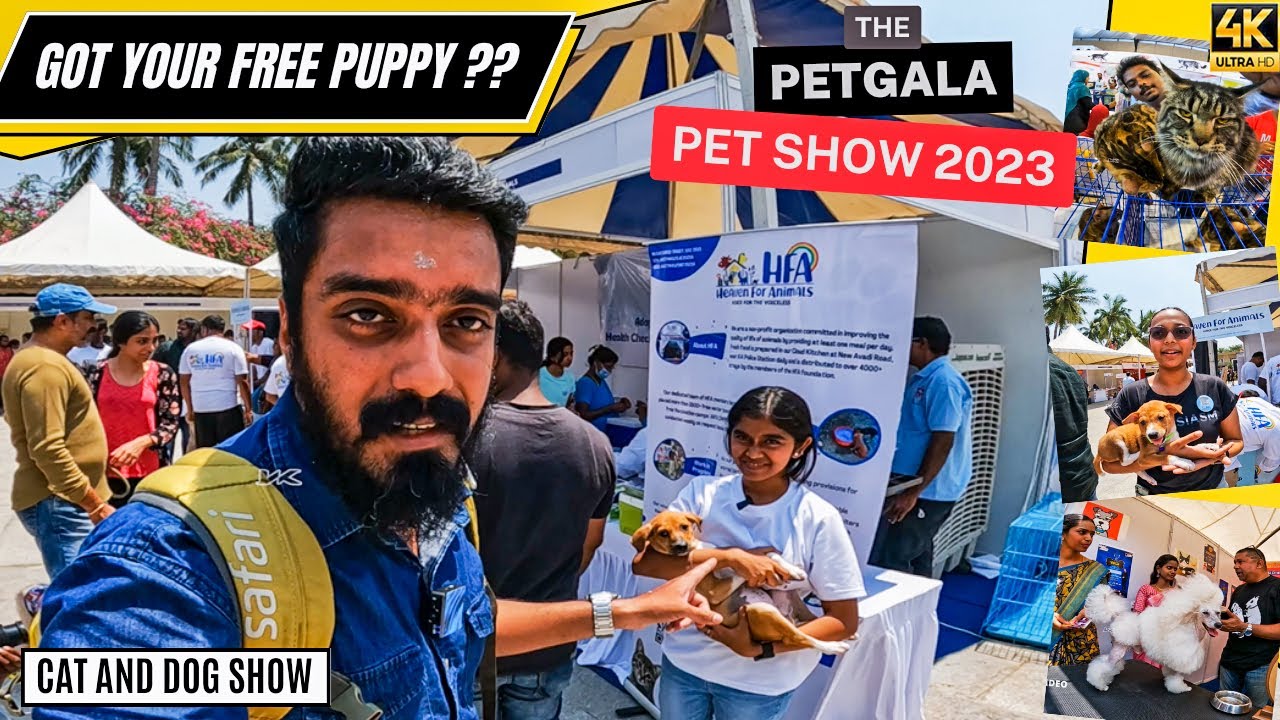 Biggest Pet show Of India The petgala chennai 2023 😻 CAT and DOG show in chennai 🐶 puppy adoption