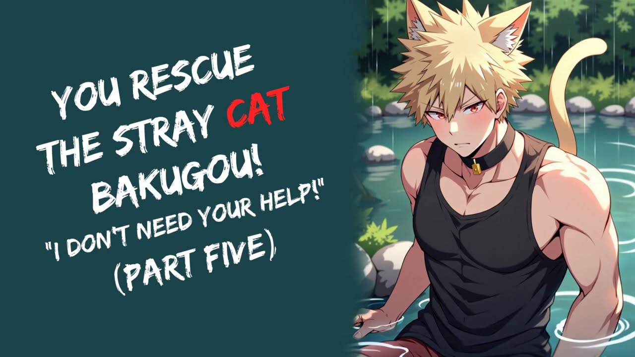 You Rescue The Stray Cat Bakugou! ASMR (Part Five)