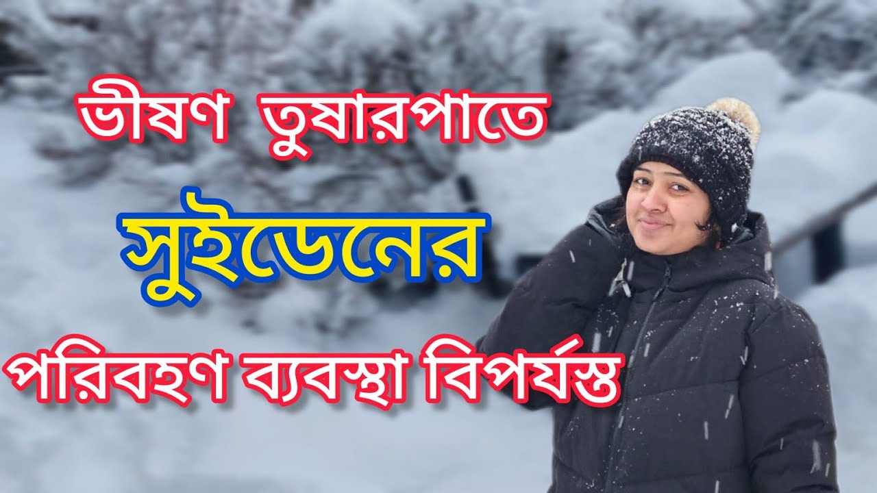 তুষারঝড়ে বিপর্যস্ত সুইডেনের পরিবহন ব্যবস্থা 