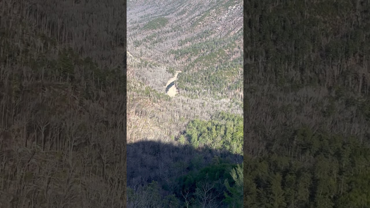 White Oak Stand overlook, Linville Gorge Wilderness Area #chiefsholsters #linvillegorge #wnc