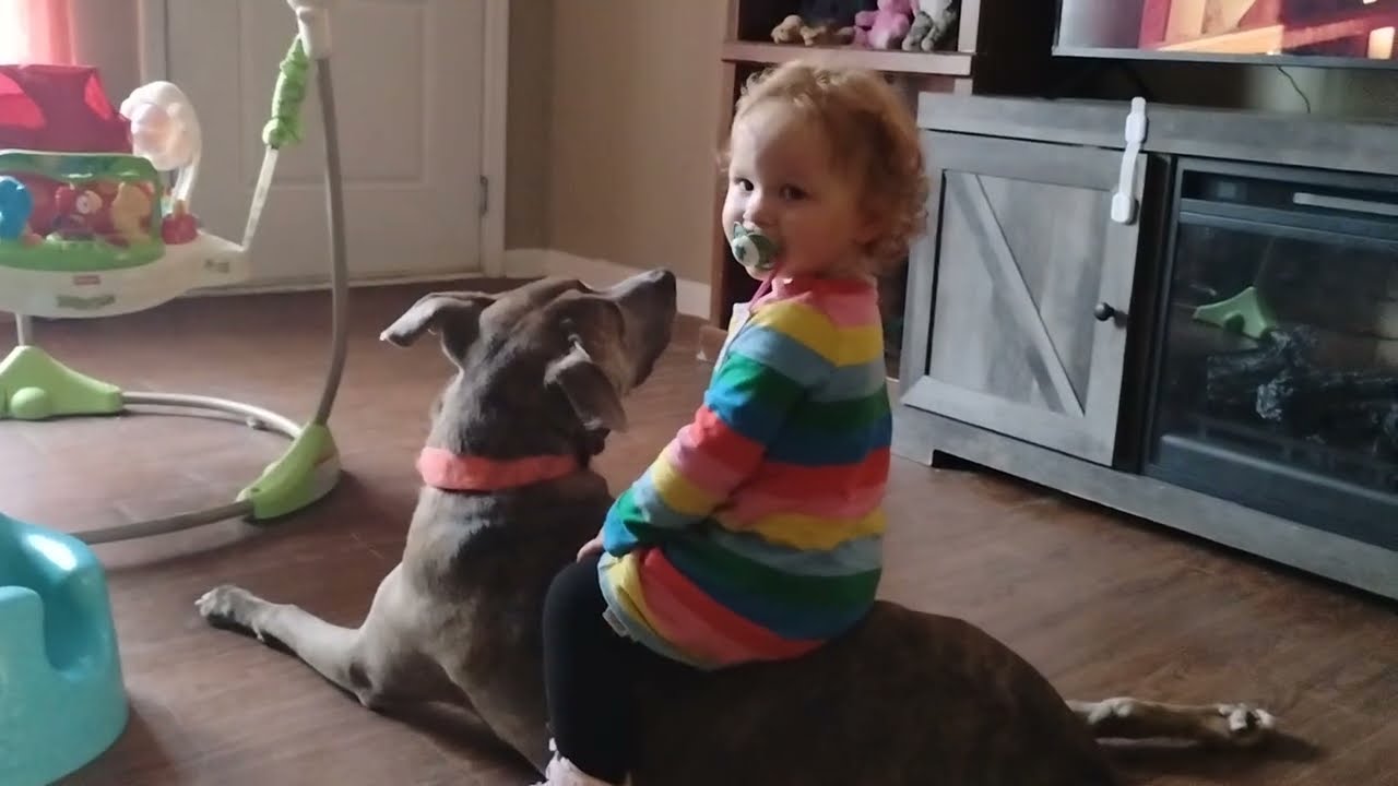 The Mountain Mama Diaries Ep. 100 Brida’s Girl 🤍