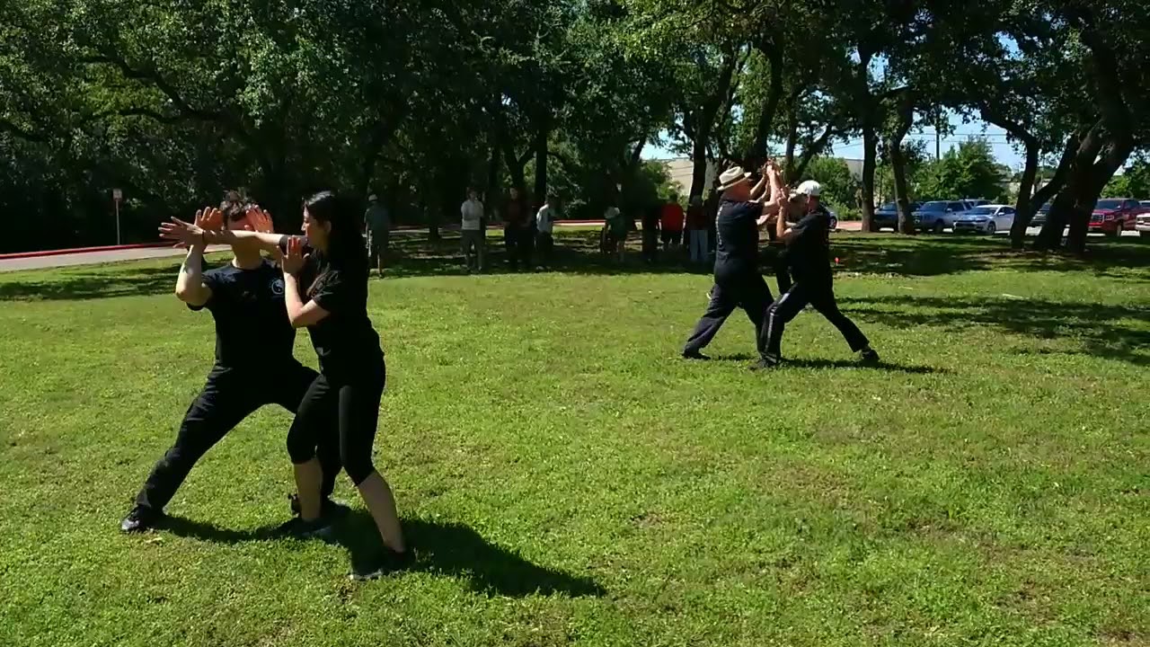 World TaiChi  and Qigong Day Pushhands Demo