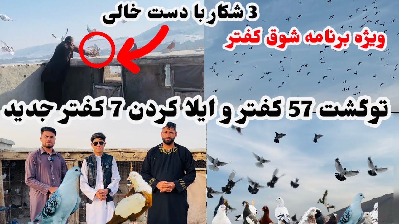 🕊️شکار با دست خالی😱 و توگشت 57کفتر🕊️ با وهاب جان و فردین جان#کفتر ❤️