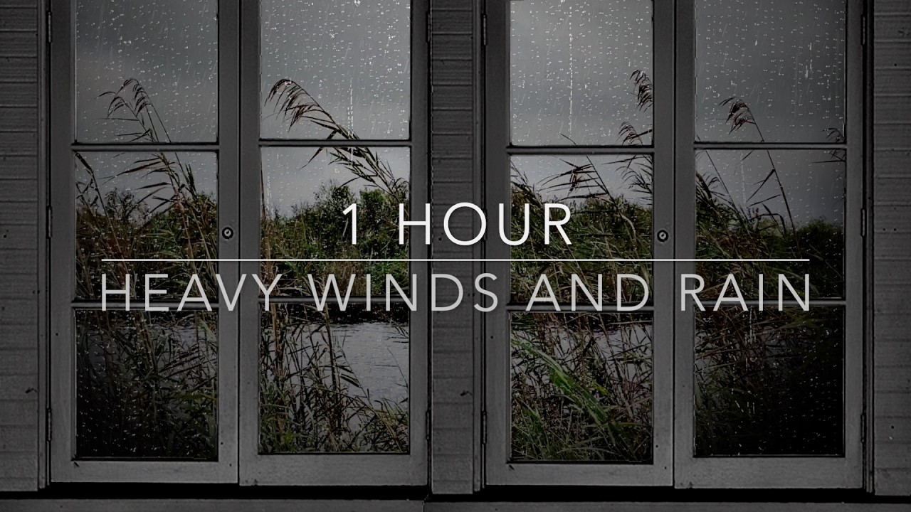 Windy Window Rainstorm - Heavy Rain On Glass and Roof Binaural Audio For Deep Focus