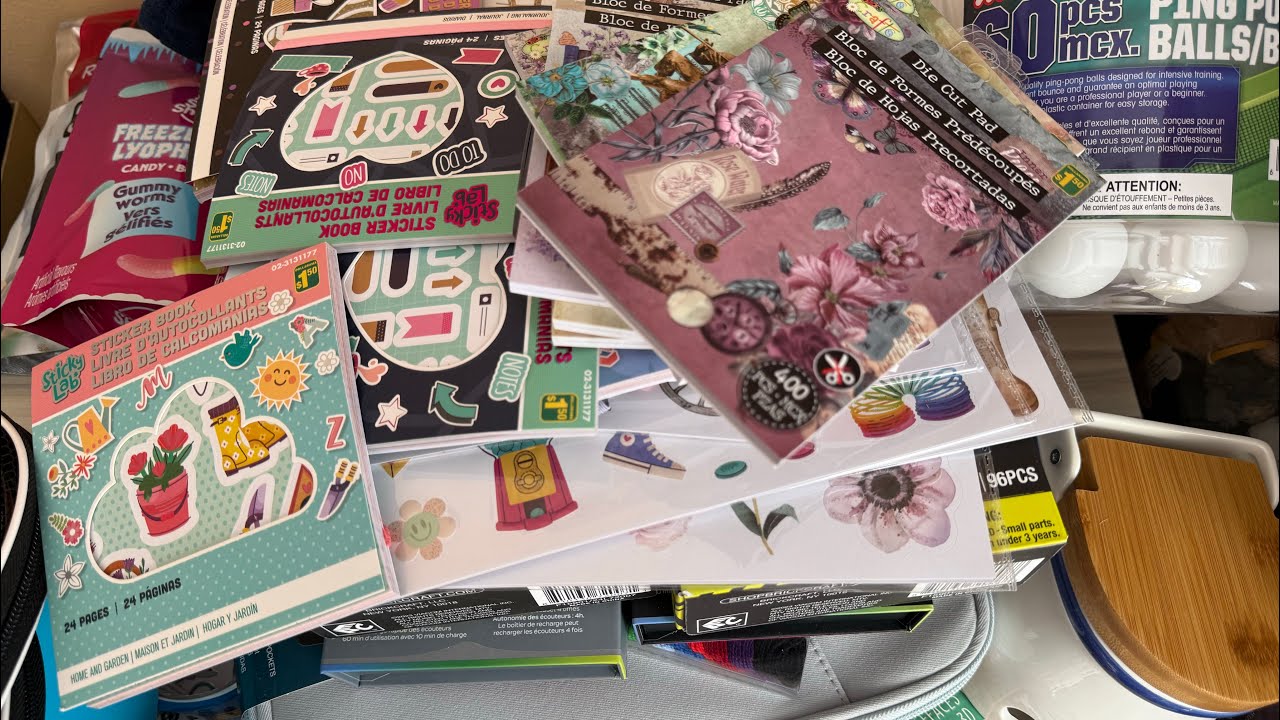Dollarama haul - March 2026