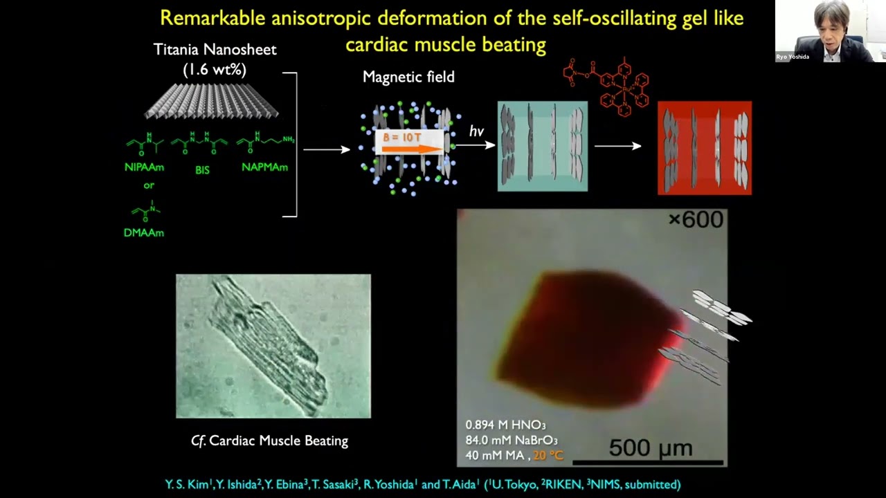 “Self-oscillating” Polymer Gels Beating like a Heart Cell as Biomimetic and Smart Softmaterials