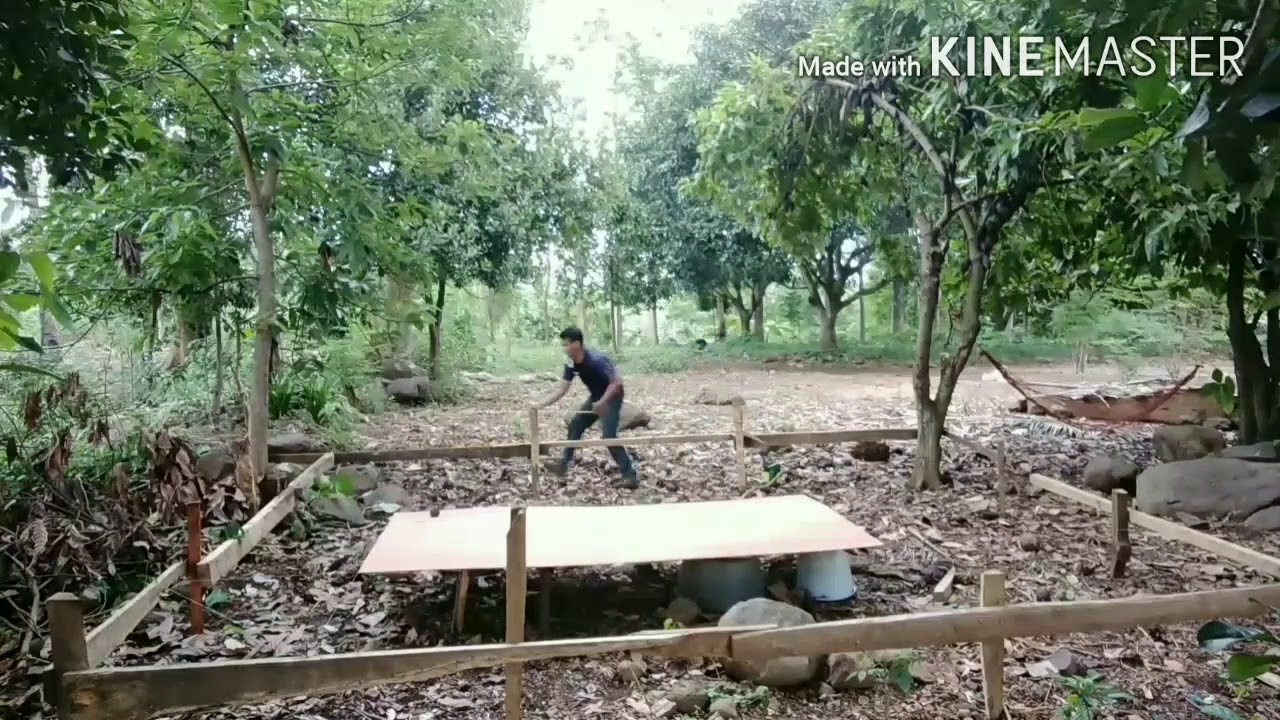 Paano gumawa ng BAHAY KUBO part 1 l Lay-out sa aking bahay Kubo Time-lapse| Buhay Probinsya