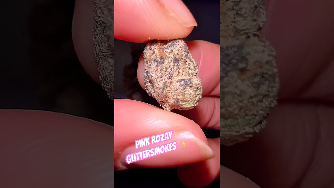 Pink Rozay from Canna Cured #subscribe #review #420community #pinkrozay #cannacured #freethatplant