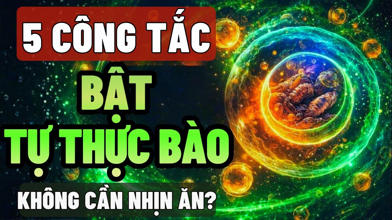 5 Công Tắc Kích Hoạt Tự Thực Bào – Không Cần Nhịn Ăn Khắc Nghiệt