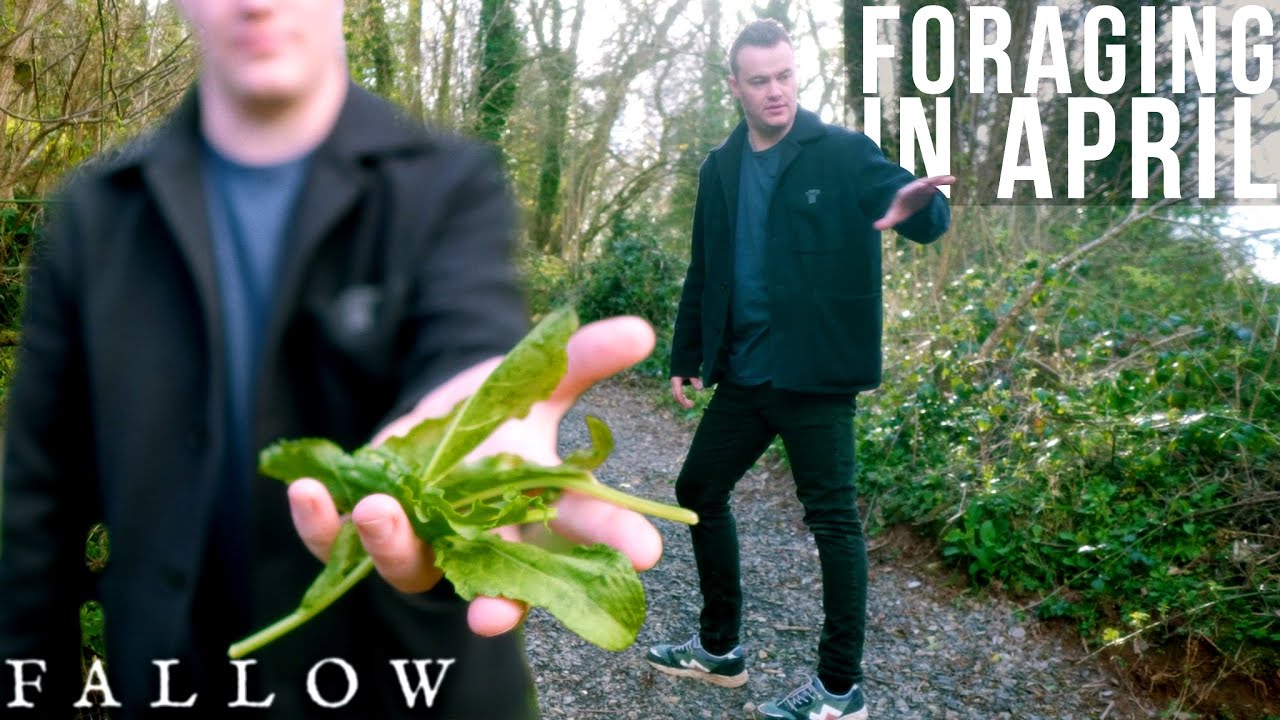 Foraging on a MasterChef Judge's Land