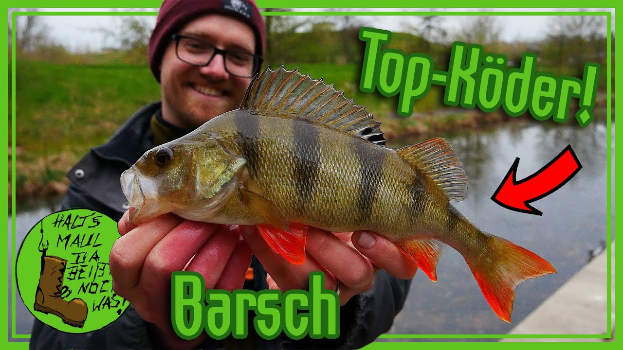 RAUBFISCH-Angeln in der SCHONZEIT? Diese METHODE machts möglich!