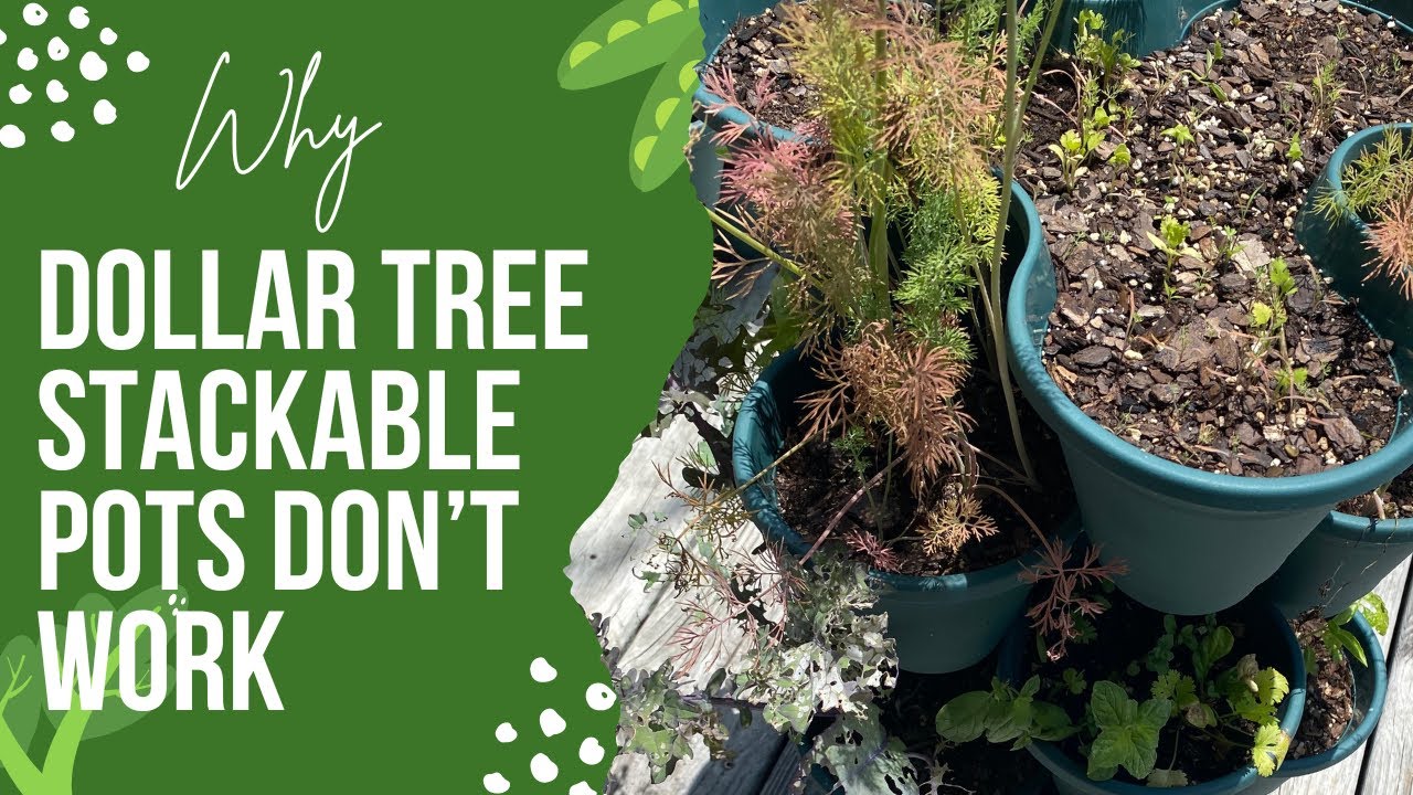 Why you SHOULDN&rsquo;T buy Dollar Tree stackable planters!!! 🍓🪴🍅 #fail
