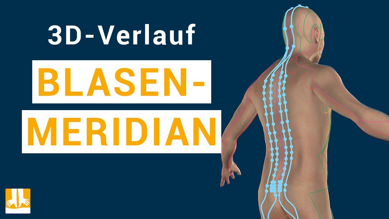 Der Blasenmeridian - 3D-Verlauf von Punkt zu Punkt