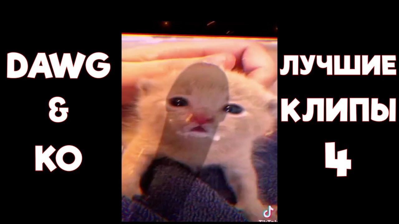 Dawg & Ko - Лучшие Клипы #4