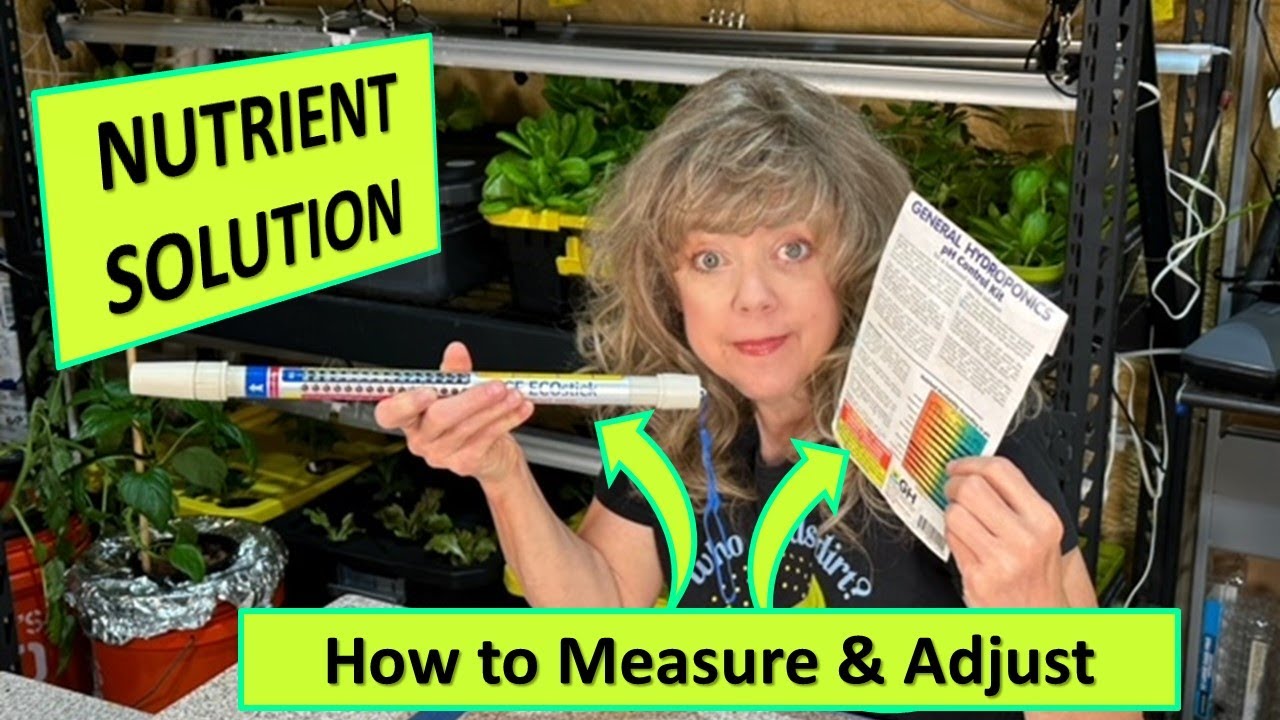 NUTRIENT SOLUTION 🧪 How to Measure & Adjust, Hydroponics