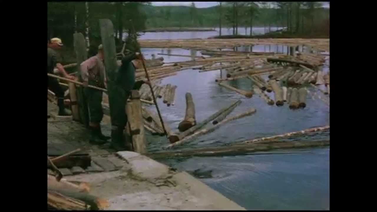 Tømmerfløting ved Nøklevannet på Vestmarka i Hof på slutten av 1950-tallet.