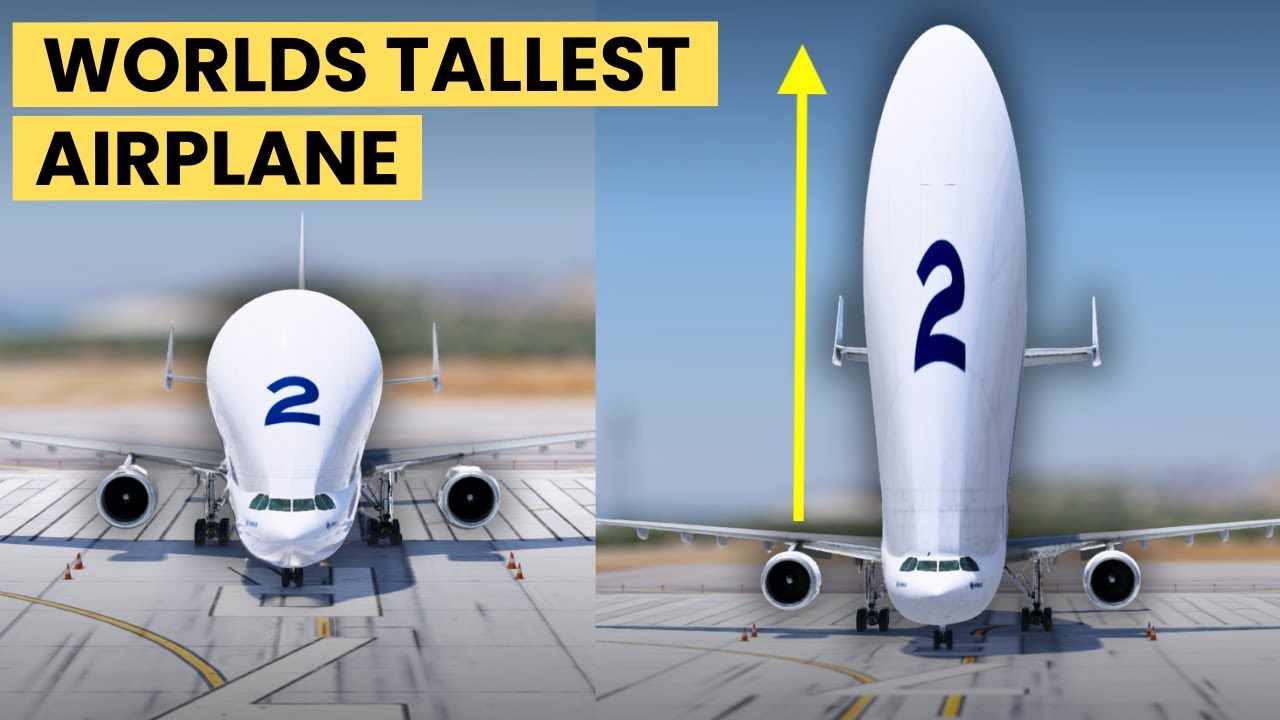 I Built The SMARTEST AIRPLANE IN THE WORLD