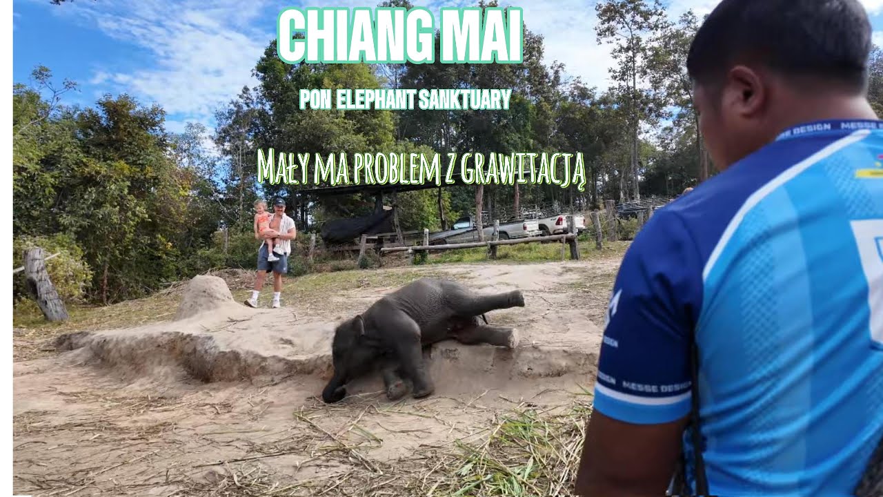 MAŁY MA PROBLEM Z GRAWITACJĄ