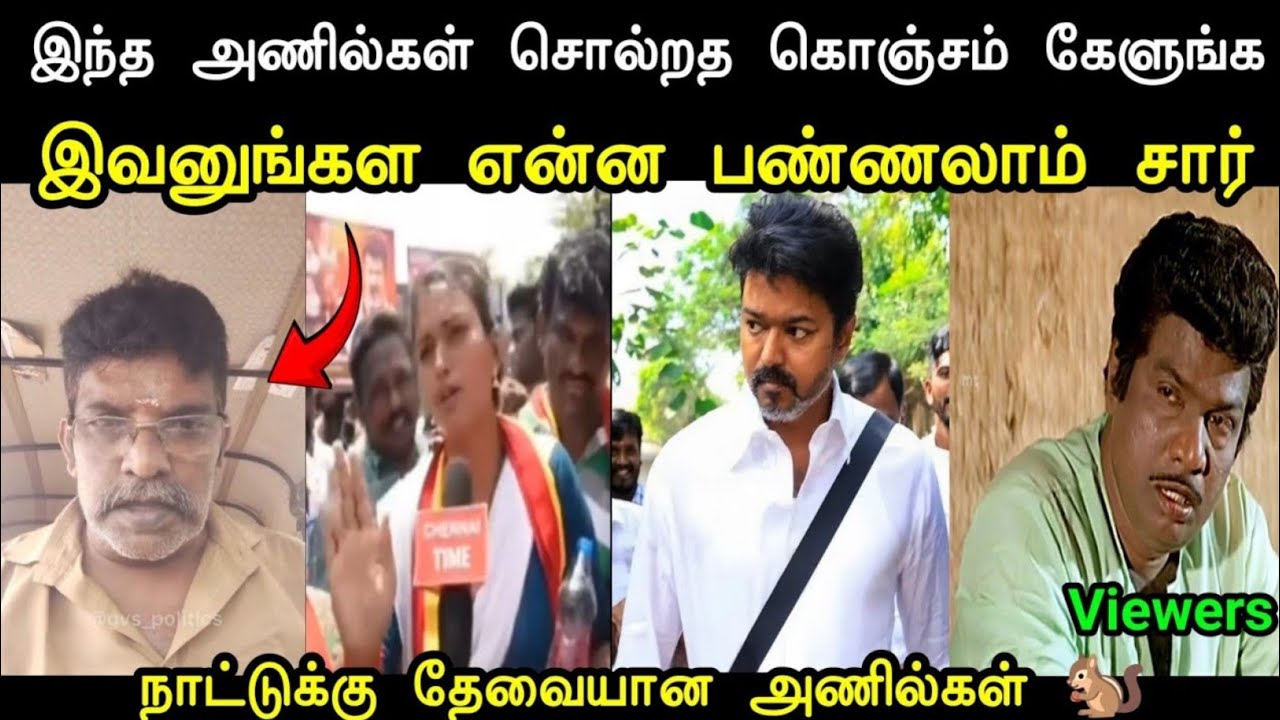 நாட்டுக்கு தேவையான அணில்கள் 🐿️ | Latest Tharkuri | Anil Troll | Tvk Troll | Mr Palam 