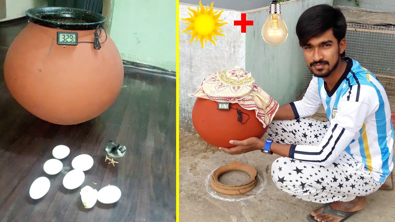 Homemade Incubator With and Without Electricity || Incubator For Chicken Eggs