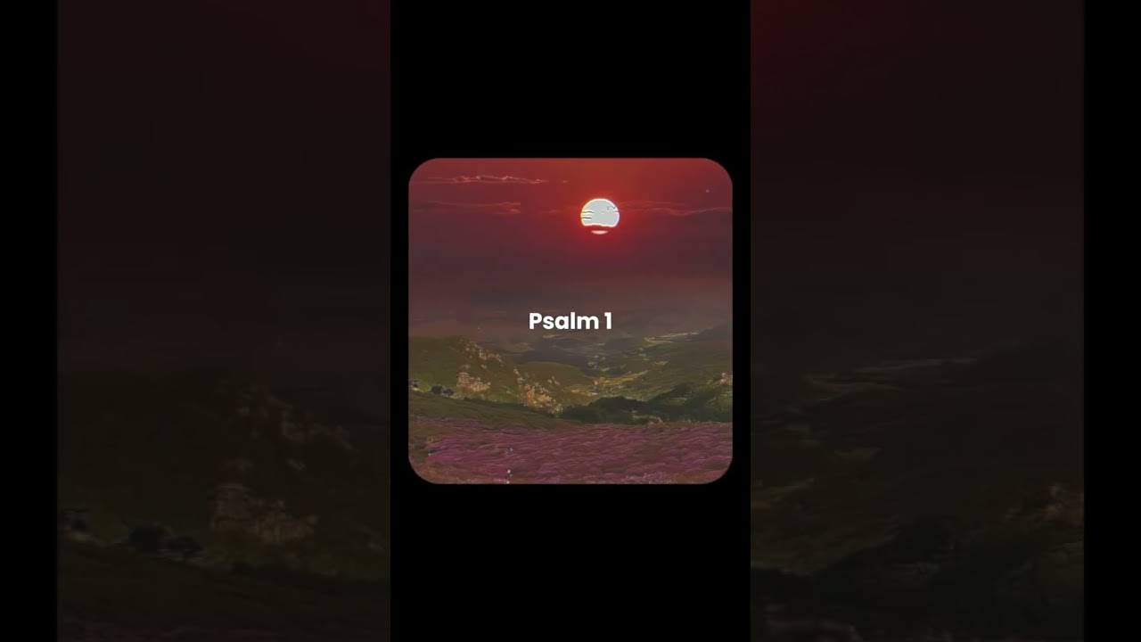 Psalm 1 | Hast du eine Minute für Gott? 