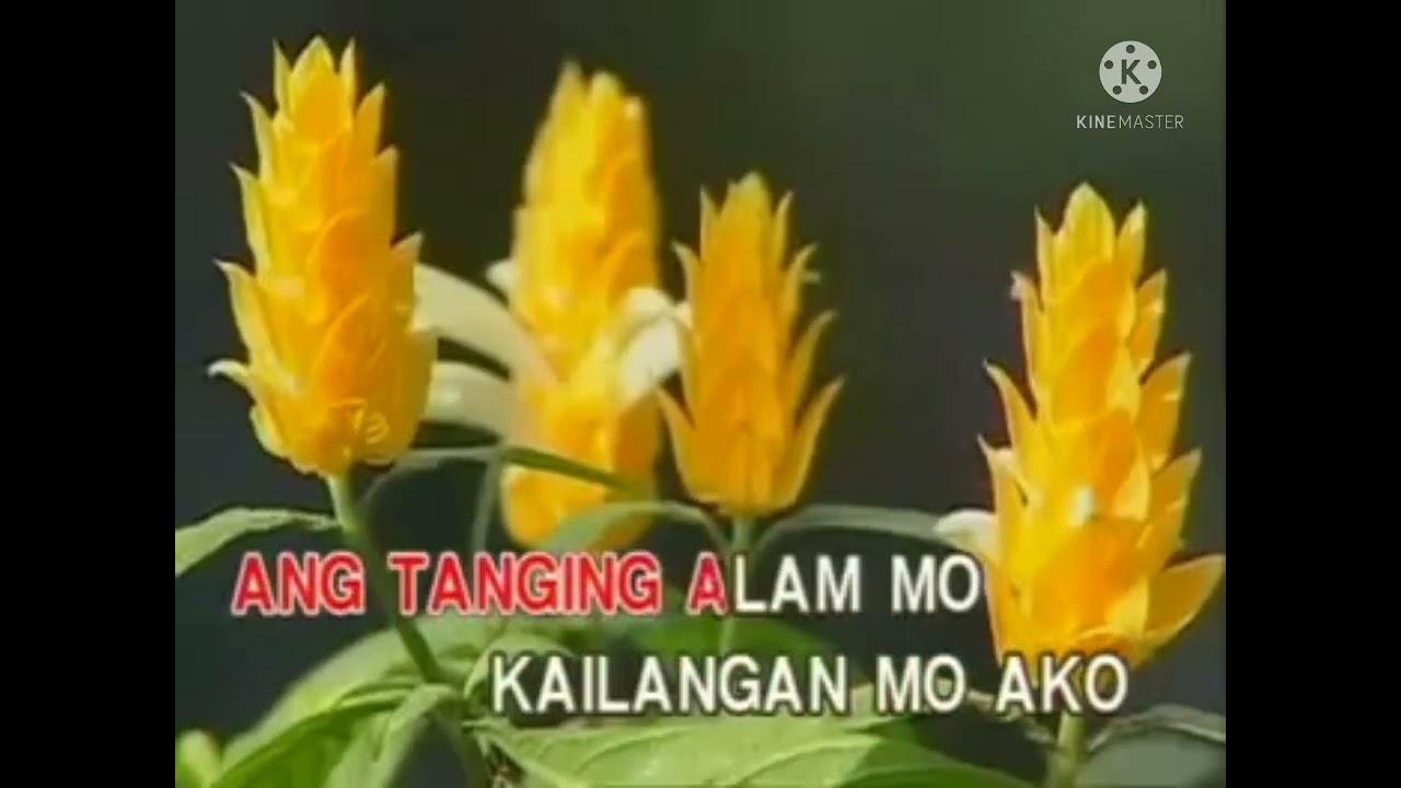 bulag na pag-ibig mimi baylon Alpha records philippines