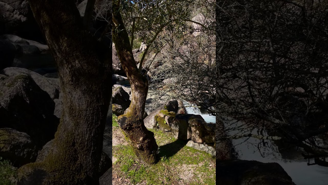 I’m waiting for you at Peneda-Gerês National Park