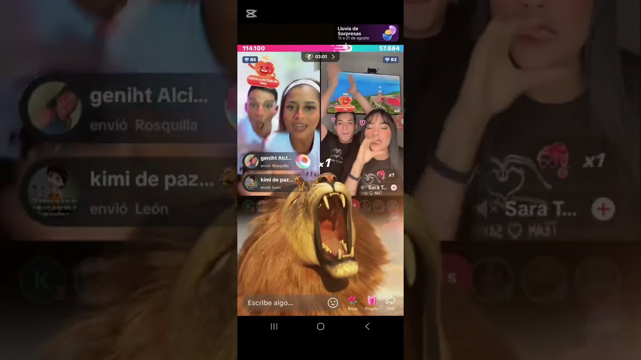 Live Mabel y Steven 17 de Agosto 2025
