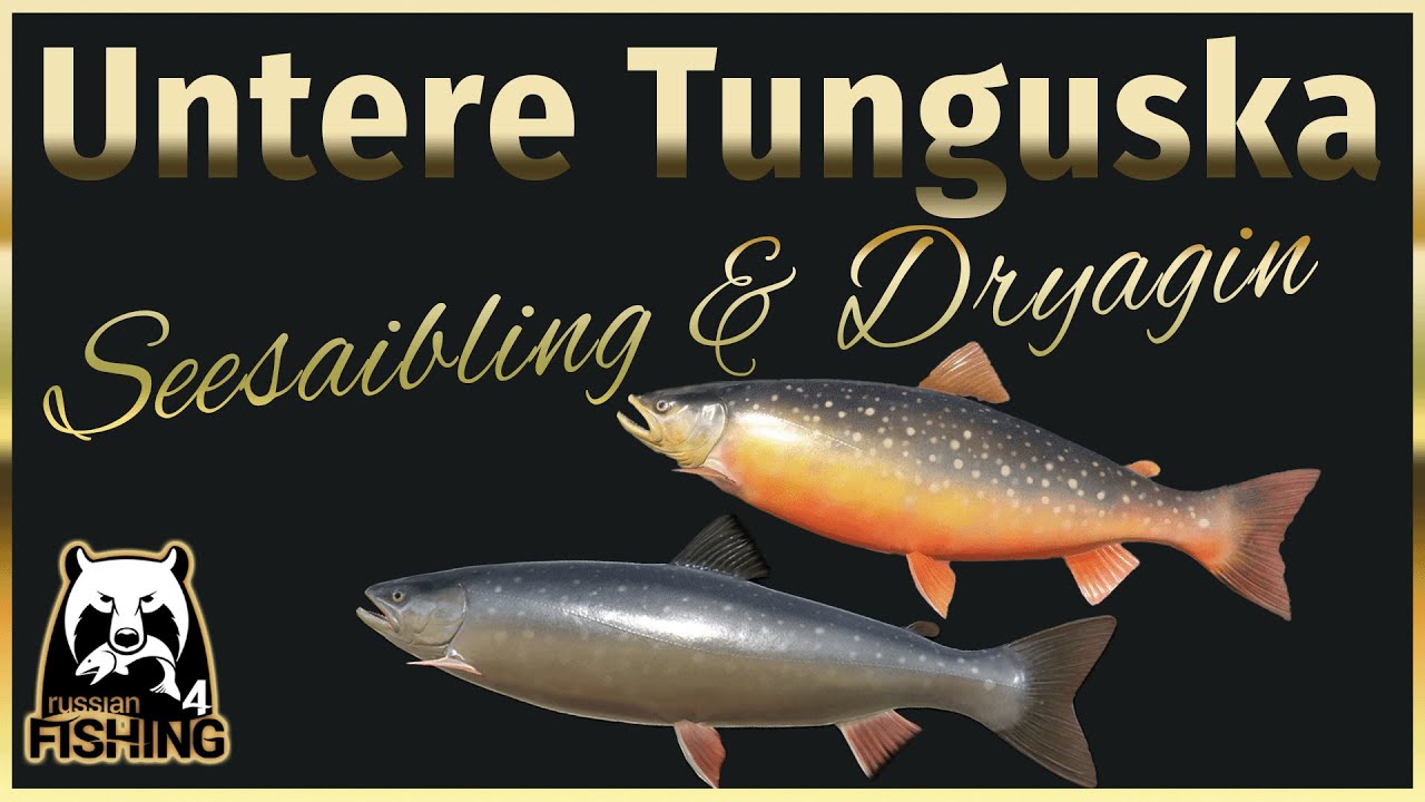 RF4 Untere Tunguska - Seesaibling & Dryagin Saibling