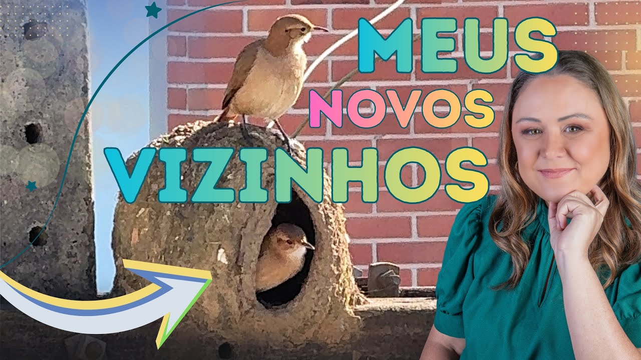 João-de-Barro | Jornalista registra passarinho construindo casinha, ao longo de um ano