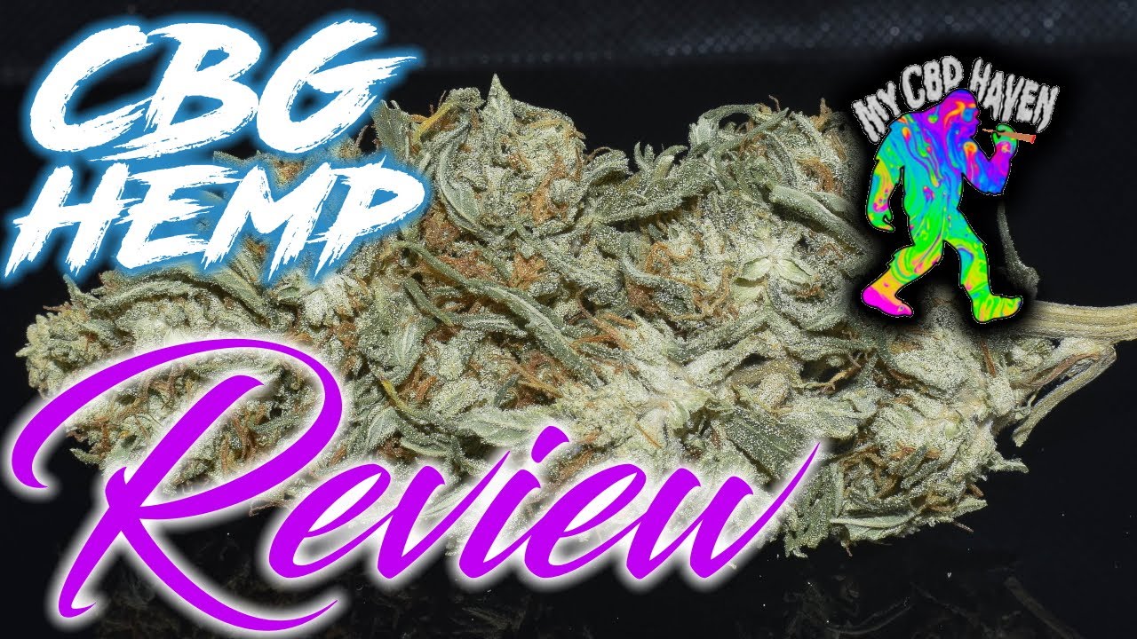 Trying Out The NEW Sour Diesel X CBG Strain! | MyCBDHaven | CBD Hemp Flower Review