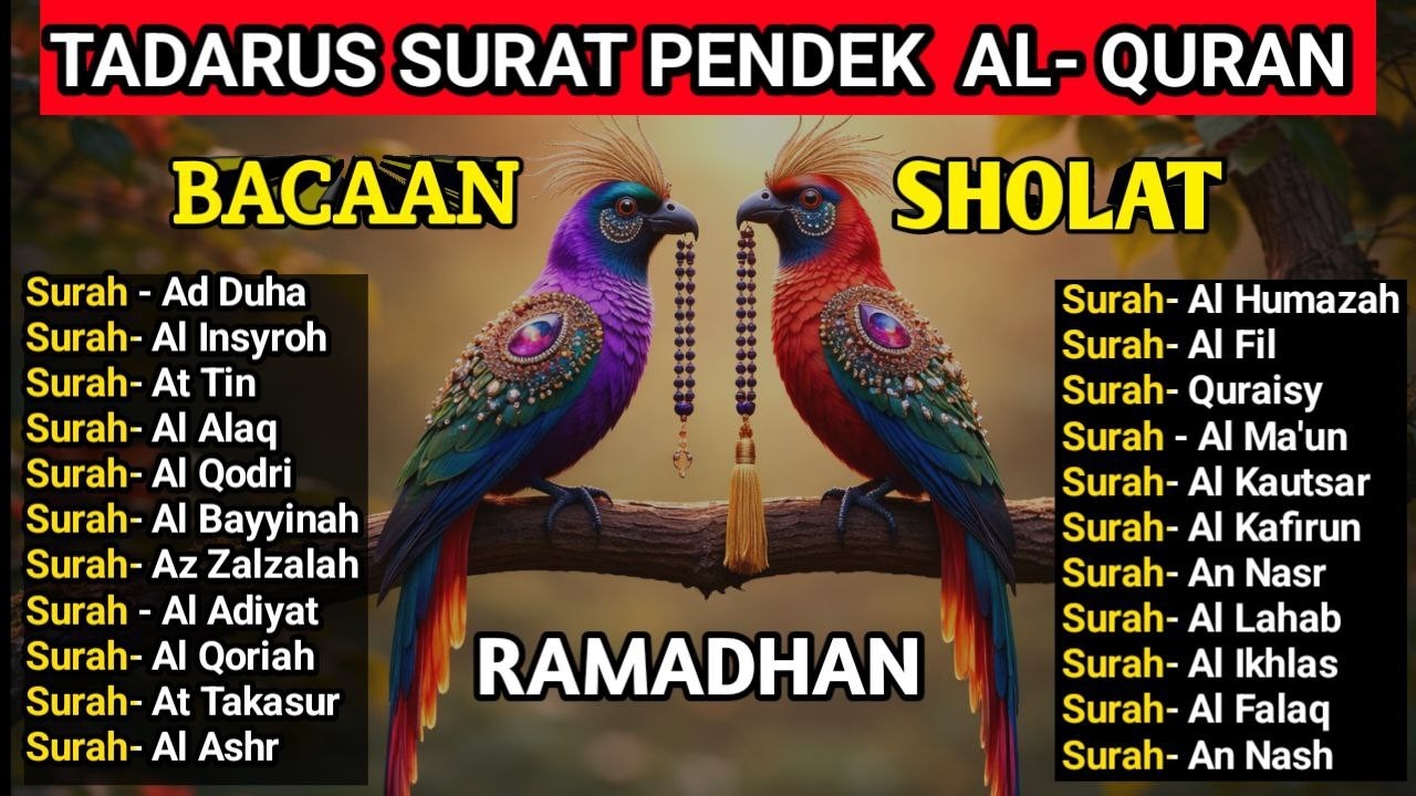 Surat-Surat Pendek Juz Amma | Agar Mudah di Hafal, Bacaan Merdu Untuk Shalat