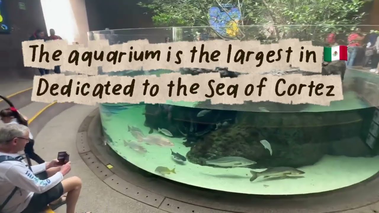 Acuario Mazatlán worth the $500 pesos ($35 Canadian) ? 