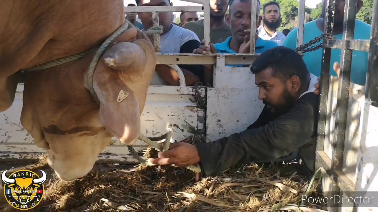 Shah Team (Noor e Muhammad S.a.w Masjid Terre Rouge) 25.02.21