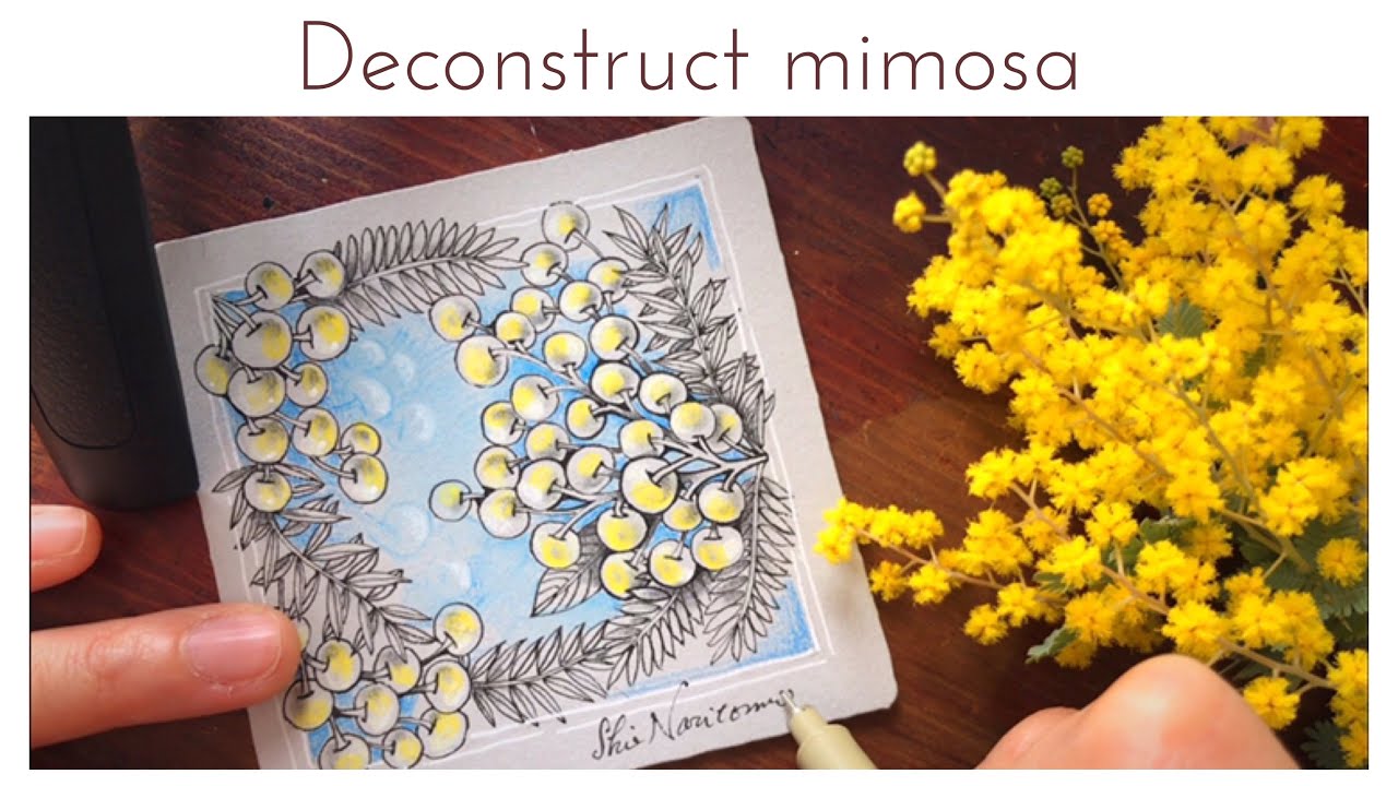 🇯🇵インスタライブ/ Decinstruct mimosa🌼🌼🌼　ゼンタングル/Zentangle