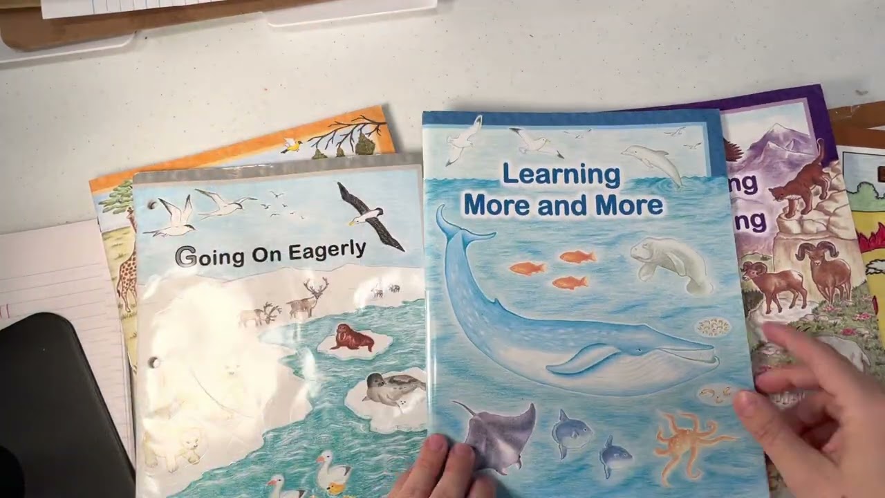 Rod and staff pre k 4 & 5 kindergarten workbooks ABC GHI series