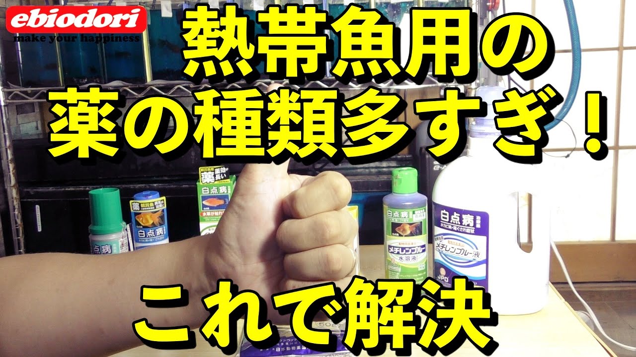【完全版】魚のお薬の選び方（魚病薬）