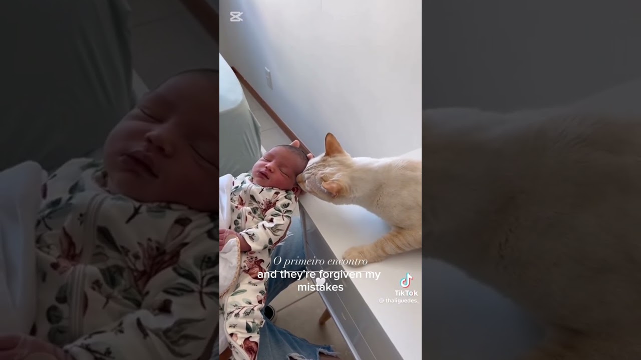FIRST MEETING BETWEEN BABY AND DOG CREATING LOVING BOND AND FALLING IN LOVE❤️🐶