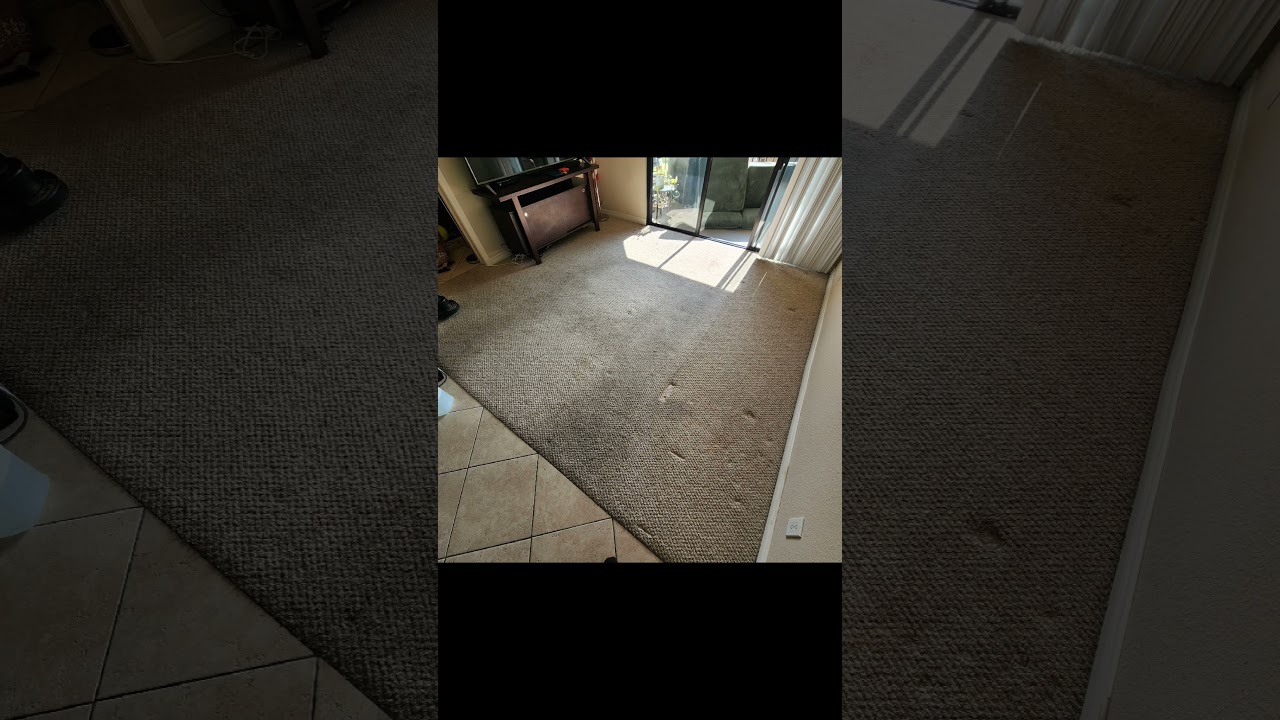 oreck orbiter with custom 17