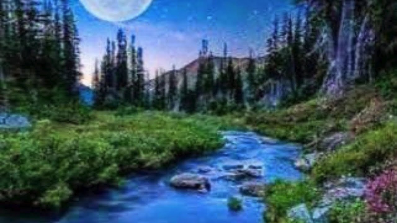 CONNESSIONE CON MADRE TERRA SOLO MUSICA