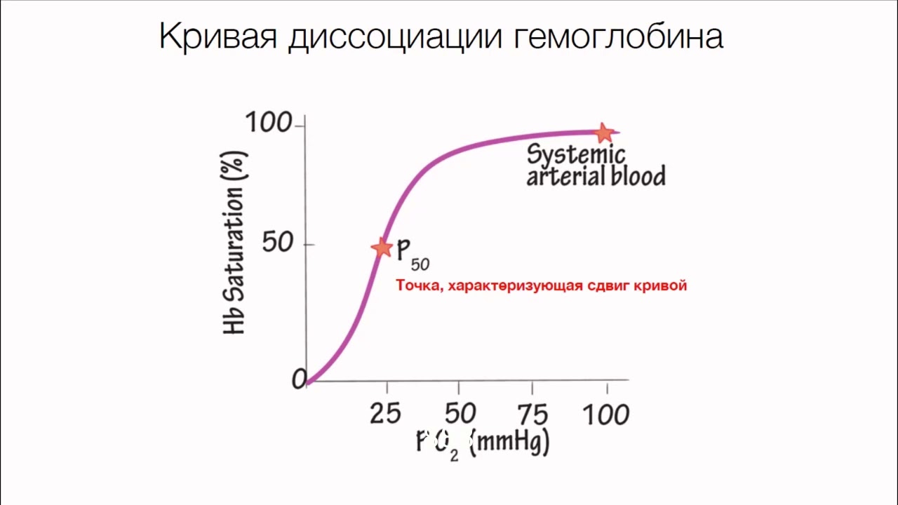 Ярошецкий А. И. Дыхательная недостаточность. Кислотно-основное состояние и газы крови.