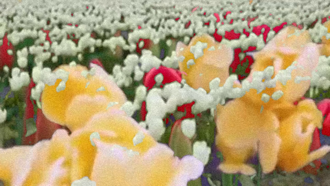 SOLACE - Letsgoeverywhere