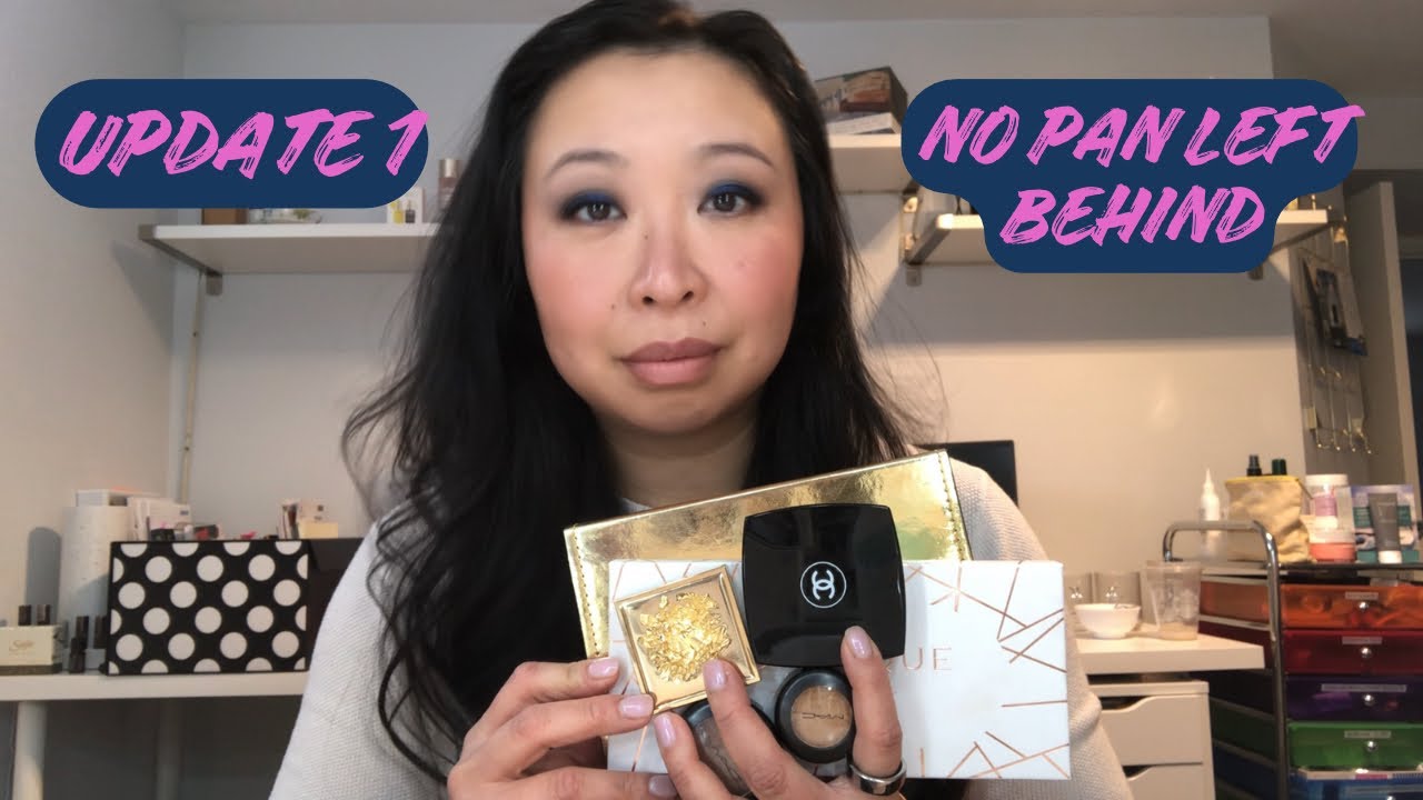 NO PAN LEFT BEHIND | UPDATE 1 USING EVERY PAN OF EYESHADOW IN MY COLLECTION