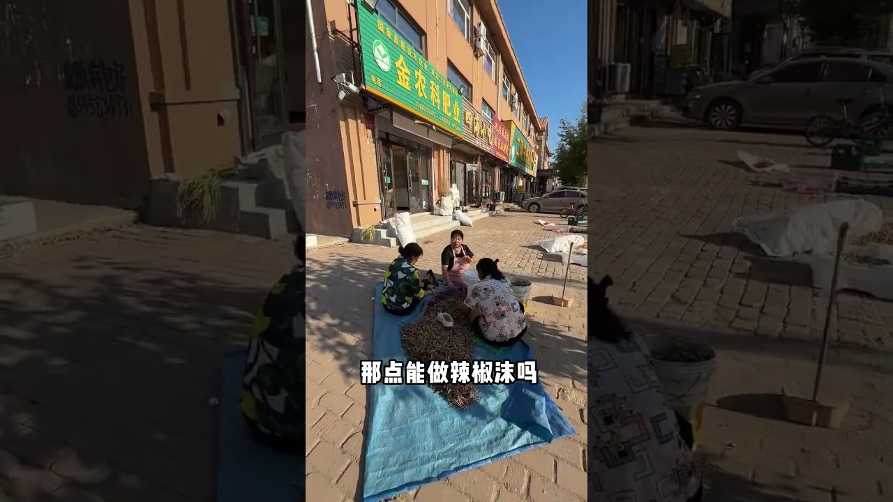 今天去看大酱奶奶，顺便做了一盆辣椒酱。一转眼又要到冬天啦，这里是我梦想开始的地方。#三农 #记录真实生活 #我的乡村生活 #辣椒酱 #东北美食