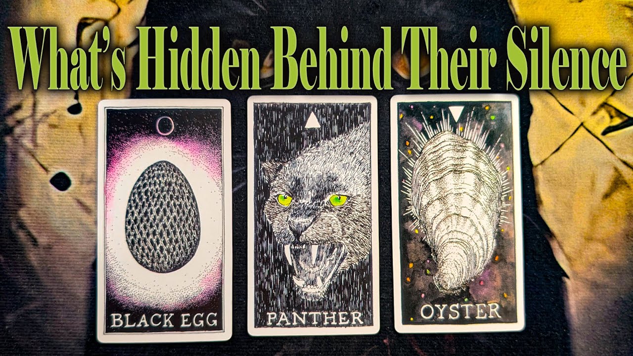 WHAT'S HIDING BEHIND THEIR SILENCE? 🤫 NO CONTACT SITUATION 🔒 | Pick A Card Timeless Tarot Reading 🔮✨