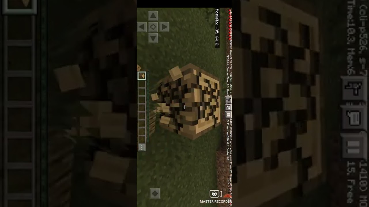 Regis Gabriel jogar Minecraft