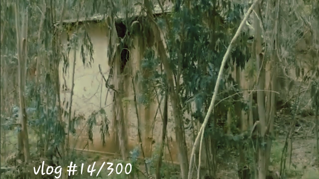 LA CASA PARANORMAL DE ISLA NEGRA| 