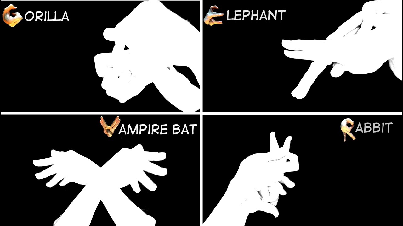 Hand Shadow Alphabet A-Z 【動物手影絵】 [β版]