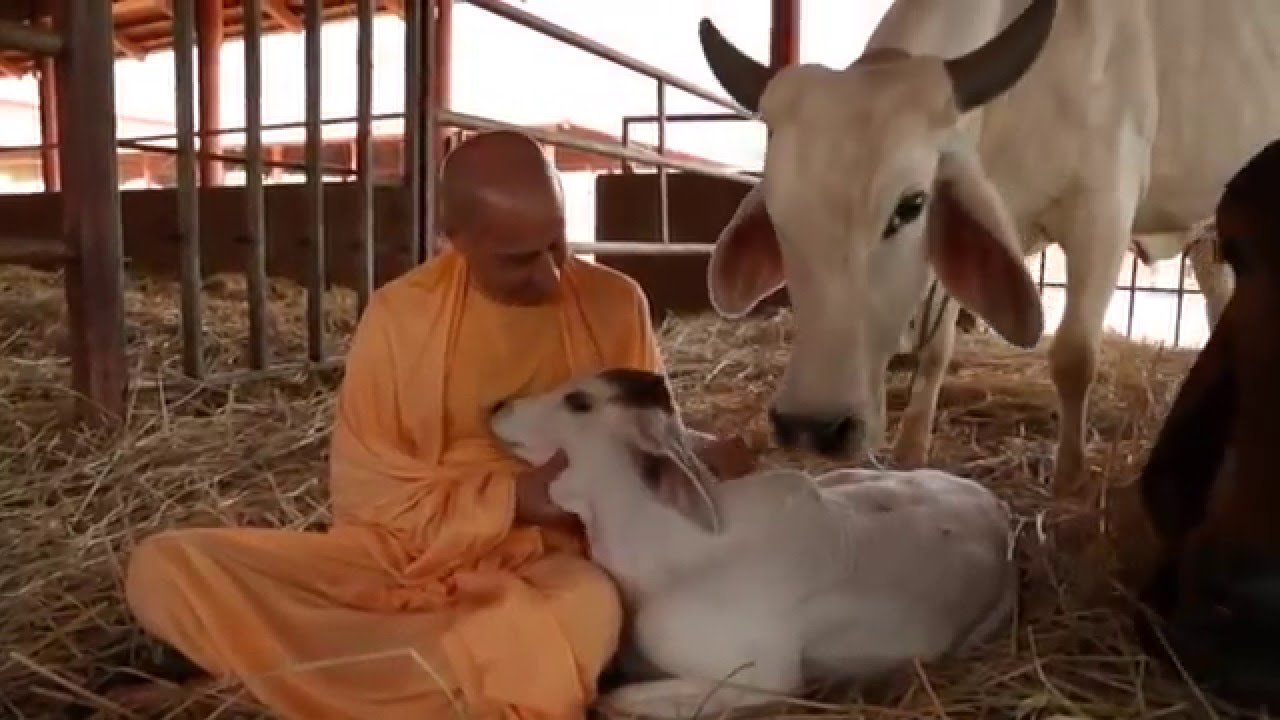 Govardhan Eco Village